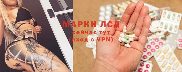 apvp Аркадак