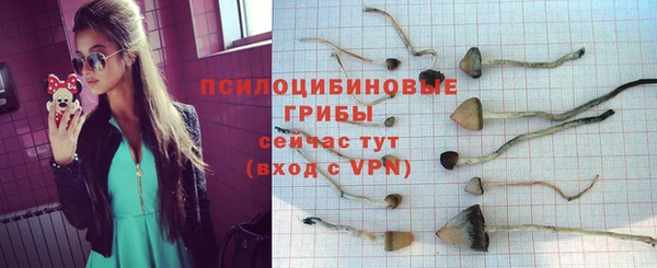 кокс Арсеньев