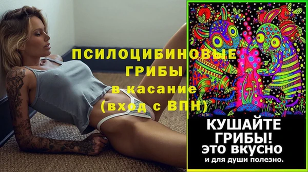 apvp Аркадак