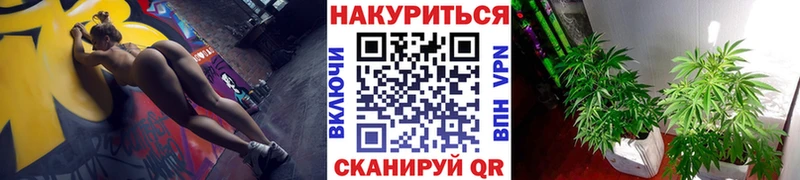 Бошки Шишки конопля  Унеча 